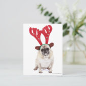 恥ずかしそうなプグを着てトナカイ〔雄ジカの〕枝角 ポストカード (スタンド正面)