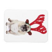 恥ずかしそうなプグを着てトナカイ〔雄ジカの〕枝角 マグネット (横)