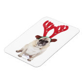 恥ずかしそうなプグを着てトナカイ〔雄ジカの〕枝角 マグネット (左側)