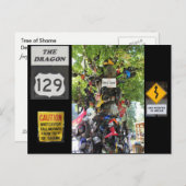 恥の木 ポストカード (正面/裏面)