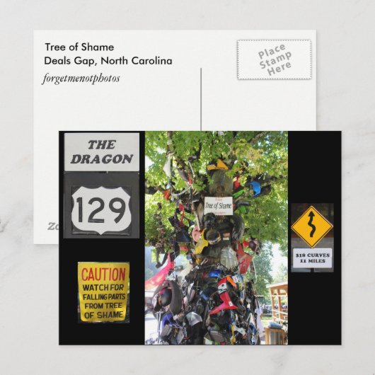 恥の木 ポストカード (正面/裏面)