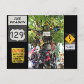 恥の木 ポストカード (正面)