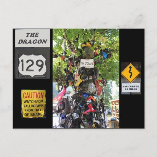 恥の木 ポストカード (正面)