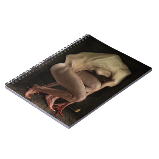 恥2012年 ノートブック (左側)