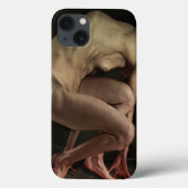 恥2012年 Case-Mate iPhoneケース (裏面)