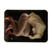 恥2012 マグネット (横)