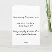 息もつけないほど国有林 カード (裏面)