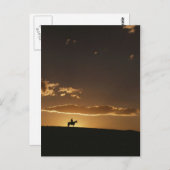 息をのむようなカウボーイサンセット ポストカード (正面/裏面)
