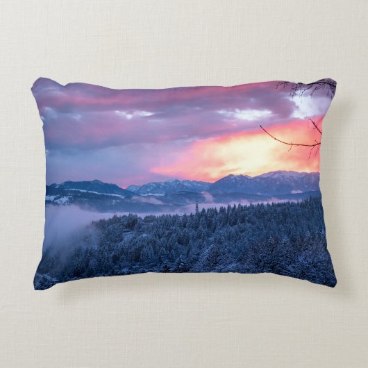 息をのむようなサッシンピロー アクセントクッション (正面)