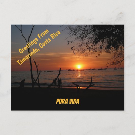 息をのむようなタマリンド・サンセット ポストカード (正面)