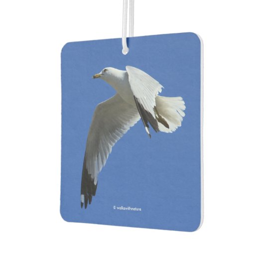 息をのむようなリングや輪でハシバメが飛んでいる カーエアーフレッシュナー (左)