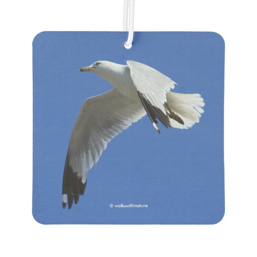 息をのむようなリングや輪でハシバメが飛んでいる カーエアーフレッシュナー (裏面)