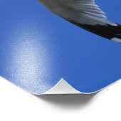 息をのむようなリングや輪でハシバメが飛んでいる フォトプリント            (角)