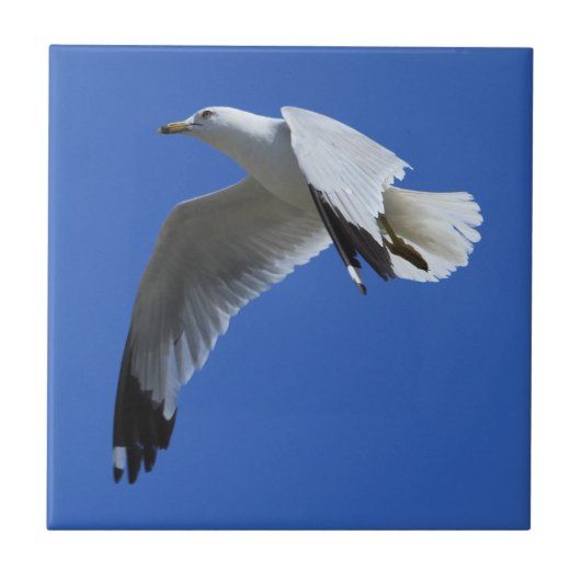 息をのむようなリングや輪でハナショウウオの飛び去る鳥 タイル (正面)