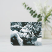 息をのむような冬の風景 ポストカード (スタンド正面)