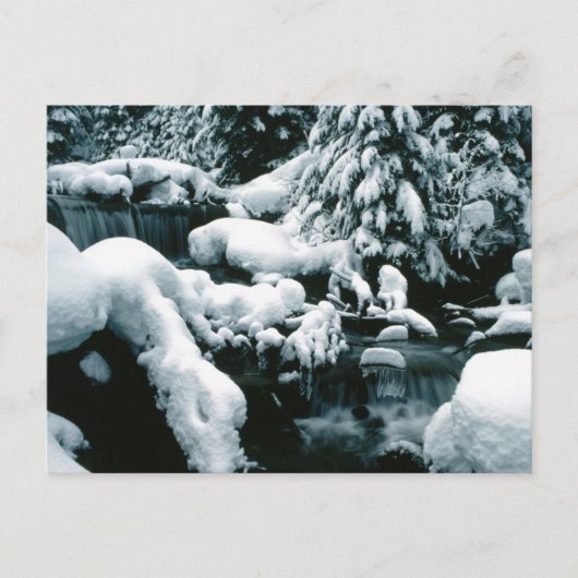 息をのむような冬の風景 ポストカード (正面)