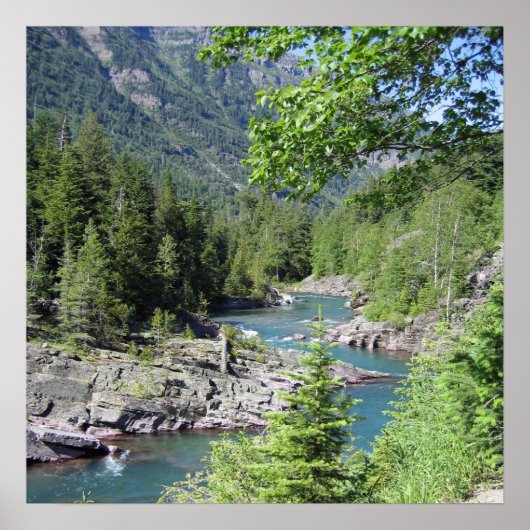 息をのむような国有林 ポスター (正面)