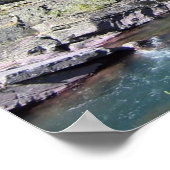 息をのむような国有林 ポスター (角)