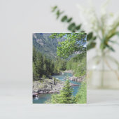 息をのむような国有林 ポストカード (スタンド正面)