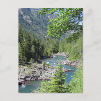 息をのむような国有林 ポストカード