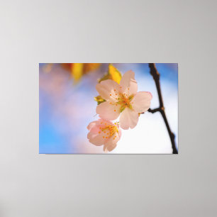 息をのむような春のサクラの花の美しさ キャンバスプリント