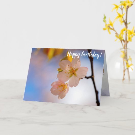 息をのむような美しい桜花春 カード (黄色い花)