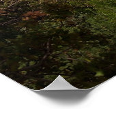 息をのむような – アリゾナ州セドナ ポスター (角)