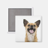 息を切らす犬 マグネット (正面/裏面)