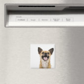 息を切らす犬 マグネット (インサイチュ (食洗機))