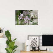 "息を切らす"ピンク淡い色ののフロックスのワイルドフラワーポスター ポスター (ホームオフィス)