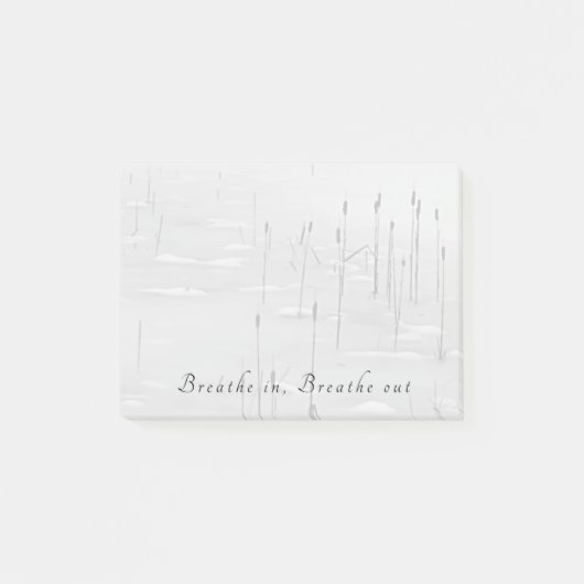 息を吸い込み、静かな冬の池のシーンを吸い出す ポストイット (正面)