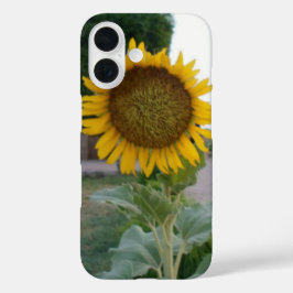 息を呑むような自然なひまわり | ゴールデン・ラディアンス A iPhone 16ケース