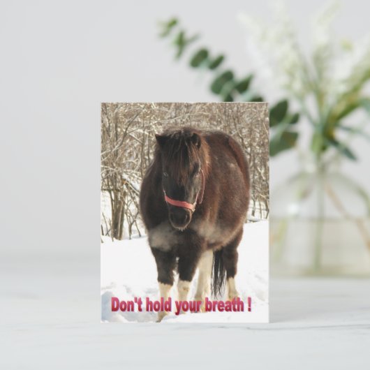 息を止めるな ポストカード (スタンド正面)