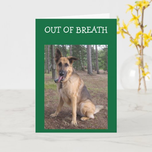 息切れ。 カード (黄色い花)