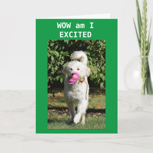 息子は急いで得ハッピーバースデーを言うために21を回す カード (正面)