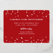 恵みの数をカウント写真の誕生発表 箔シーズンカード (裏面)