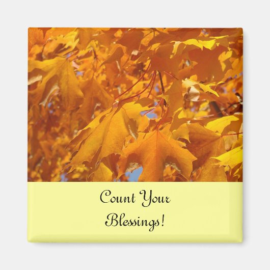 恵み数を数えろ！冷蔵庫葉用の磁石 マグネット (正面)