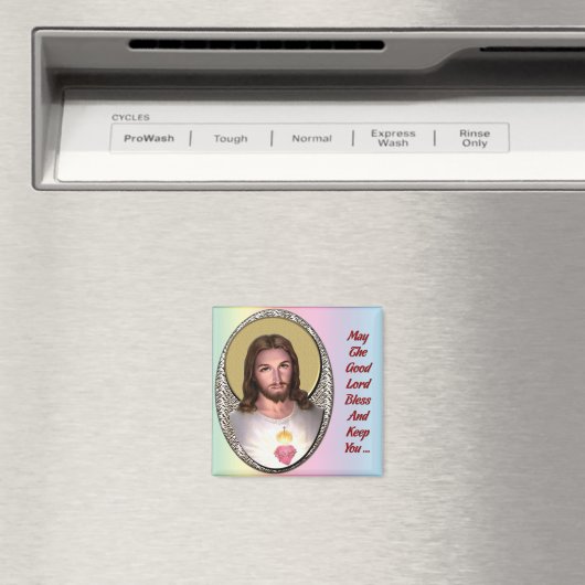 恵み磁石 マグネット (インサイチュ (食洗機))