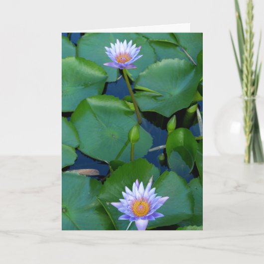 恵み カード (正面)