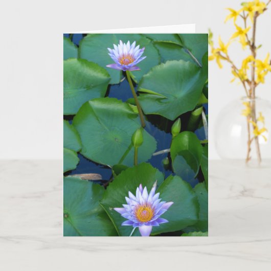 恵み カード (黄色い花)