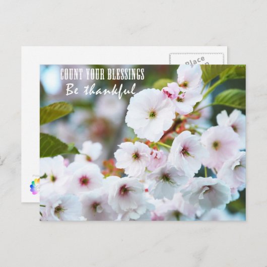 恵み ポストカード (正面/裏面)