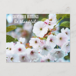 恵み ポストカード