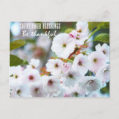 恵み ポストカード (正面)