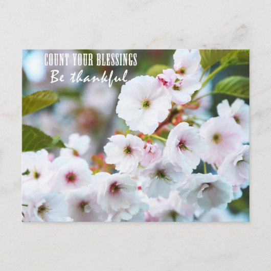 恵み ポストカード (正面)