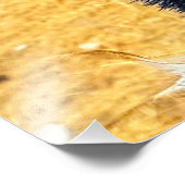 恵夢 フォトプリント            (角)