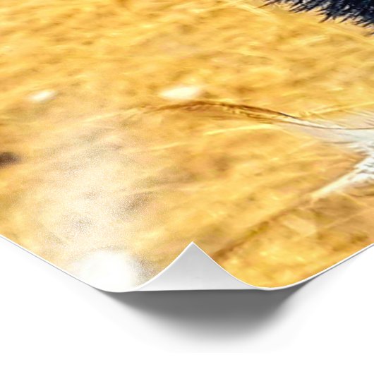 恵夢 フォトプリント            (角)