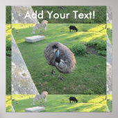 恵夢 ポスター (正面)