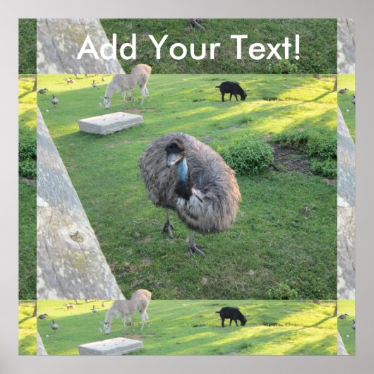 恵夢 ポスター (正面)