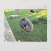 恵夢 ポストカード (正面)