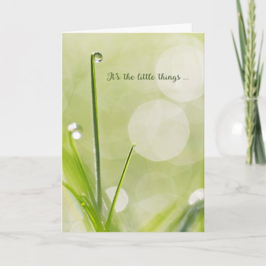 悔やみや弔慰ありがとう – Dewdrop on a Blade of Grass サンキューカード (正面)